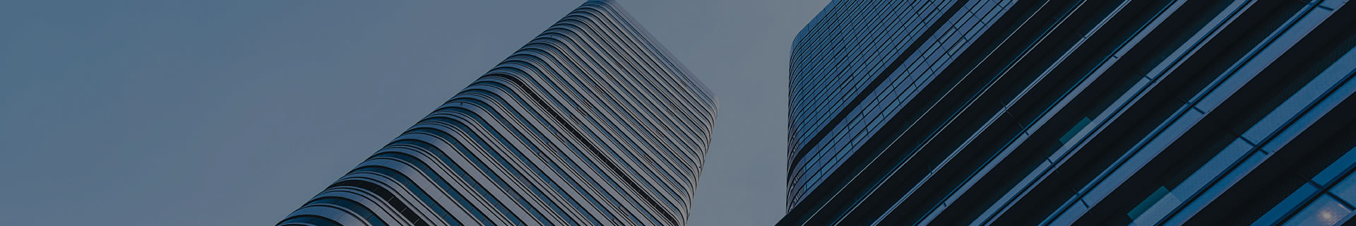 About Us - Wholesale Electric Scooters & Manual Kick Scooter | OEM/ODM Factory | Lichi Sports